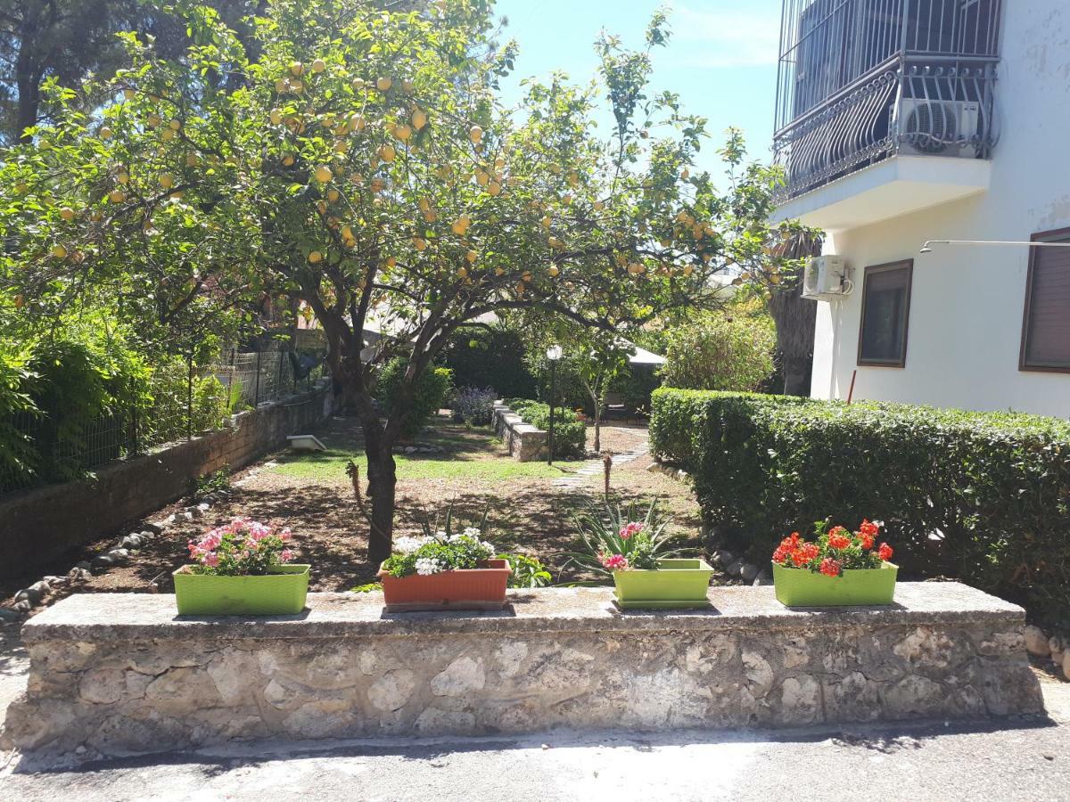 Appartamento Del Mediterraneo